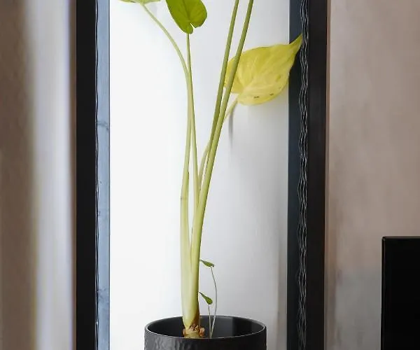 Oreon - 'ophelia' Nafplio